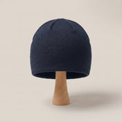French Navy