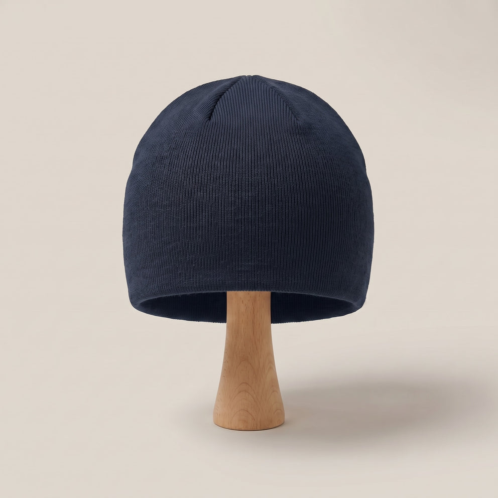French Navy