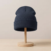 French Navy