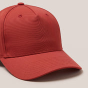 Rot